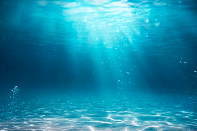 Blue Ocean Strategy Blue Ocean Strategy
