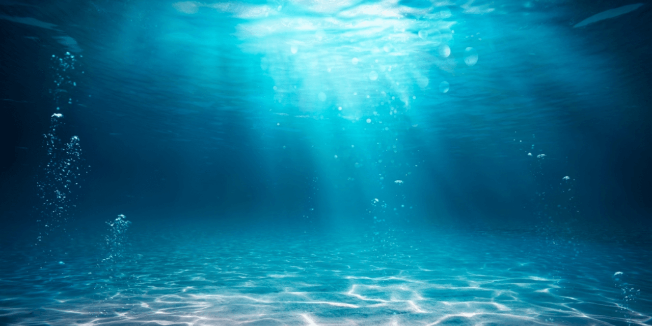 Blue Ocean Strategy Blue Ocean Strategy