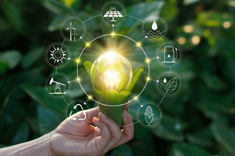 inovação sustentável