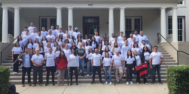 Cursos intensivos Cursos intensivos